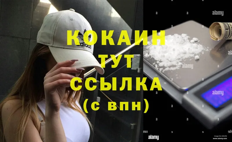 COCAIN Fish Scale  купить закладку  KRAKEN   Каменка 